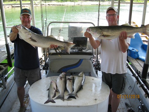 Nice Striped Bass